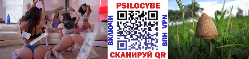 Псилоцибиновые грибы MAGIC MUSHROOMS  магазин продажи наркотиков  Ярцево 